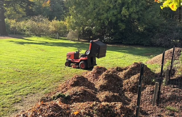 A ride on mower is used to collect autumn leaves on this sprawling country estate in Hertfordshire